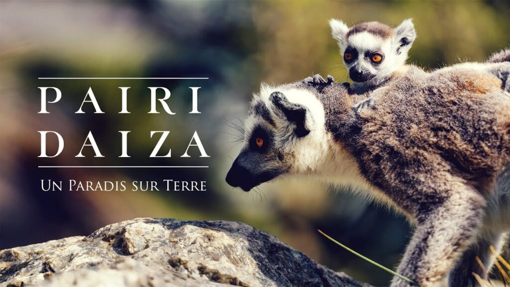 pairi daiza eden forest and spa saint amand les eaux