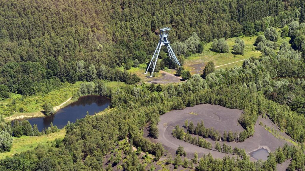 terril de raismes eden forest and spa saint amand les eaux